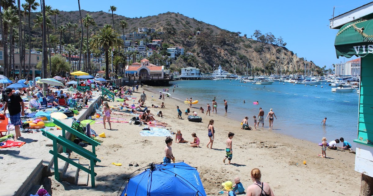catalina-island-flyer-catalina-island-summer-2012
