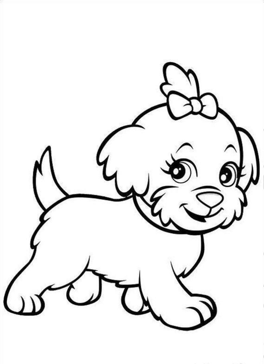 Sketsa Gambar Hewan Anjing Garlerisket