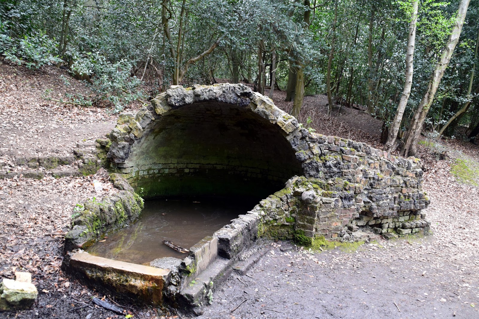 Enjoy your time with beautiful places St Ann's Hill, St Ann's Hill