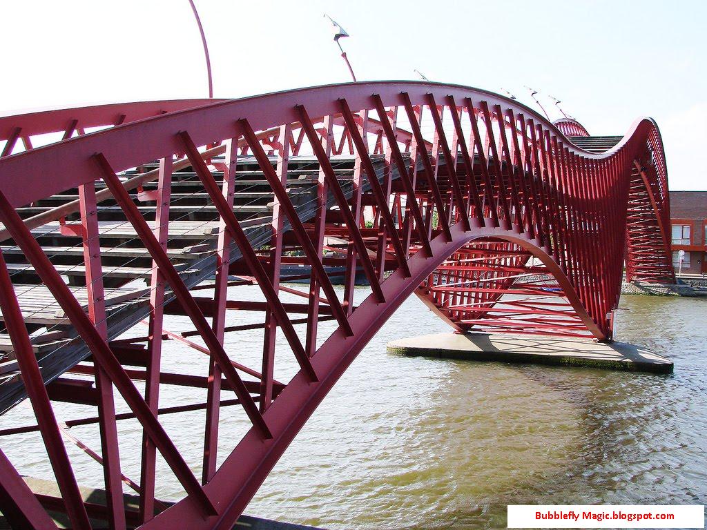 The Art of World: Python Bridge / Anaconda Bridge , Amsterdam