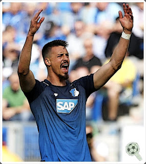 Sandro Wagner Hoffenheim