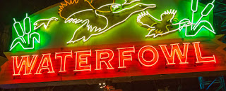 Waterfowl neon sign