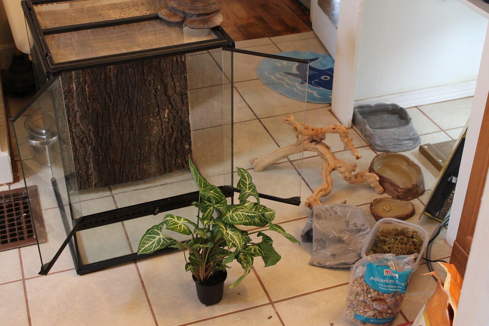 Lizards in Sweaters Houses for Lizards