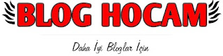 Blog Hocam 2013 Logosu