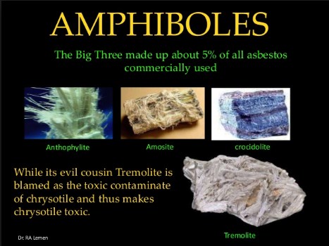 Amphibole And Government Coverups Amphibole And Government Coverups