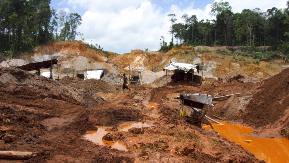 No a la minería del oro en Guyana