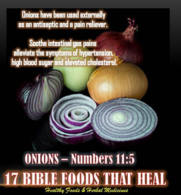 17 BIBLE FOODS THAT HEAL ONIONS Numbers 115
