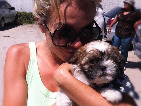 12 coisas que você pensa quando olha para o seu shih tzu