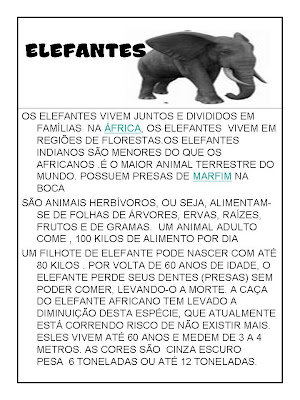 Texto informativo sobre animais