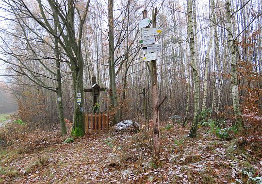 Sucha Góra Zachodnia, rozstaj szlaków. Sucha Góra Zachodnia, rozstaj szlaków.