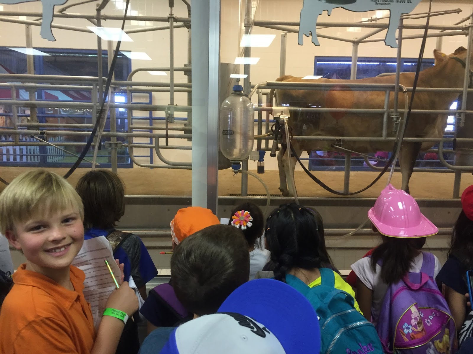 Adventures of the Girls and their Little Brother State Fair Field Trip!