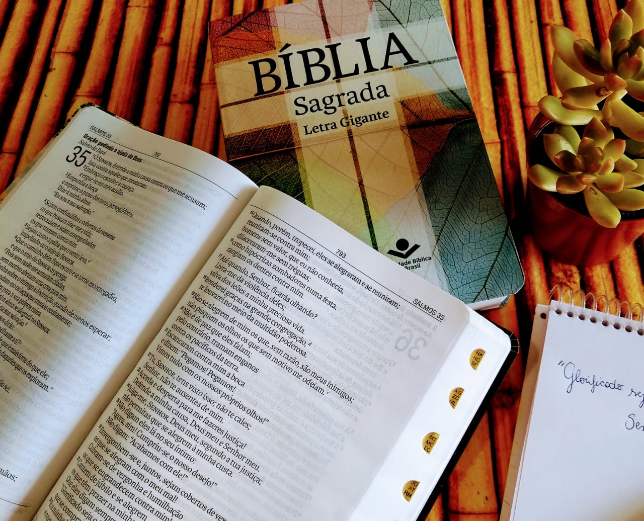 Lançamento Bíblia Letra Gigante com Capa Semi-Flexível