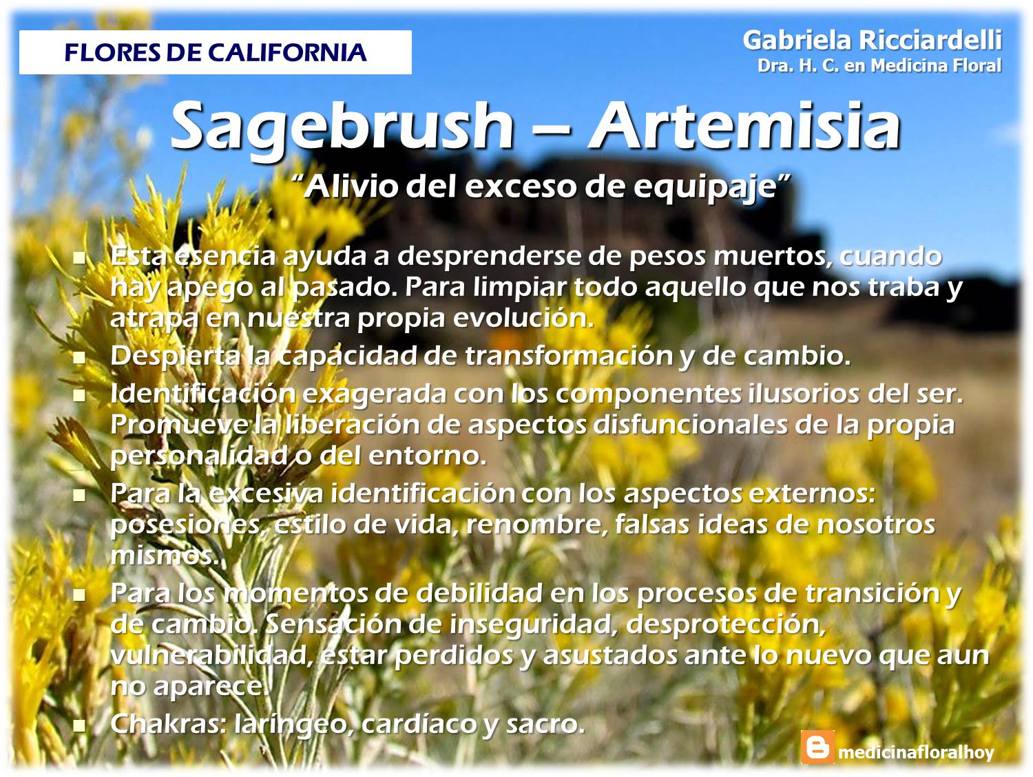 .MEDICINA FLORAL HOY. GABRIELA RICCIARDELLI Flores de California