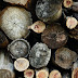 Ideas para almacenar la madera: Leñeros.