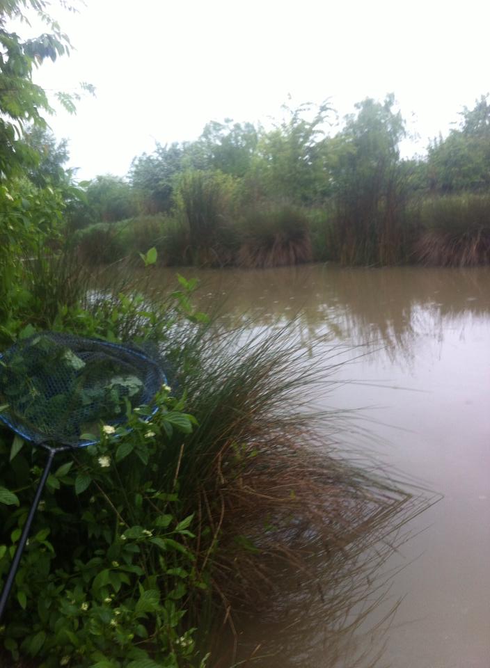 UK fishing venues Plainville Lake Venue Review