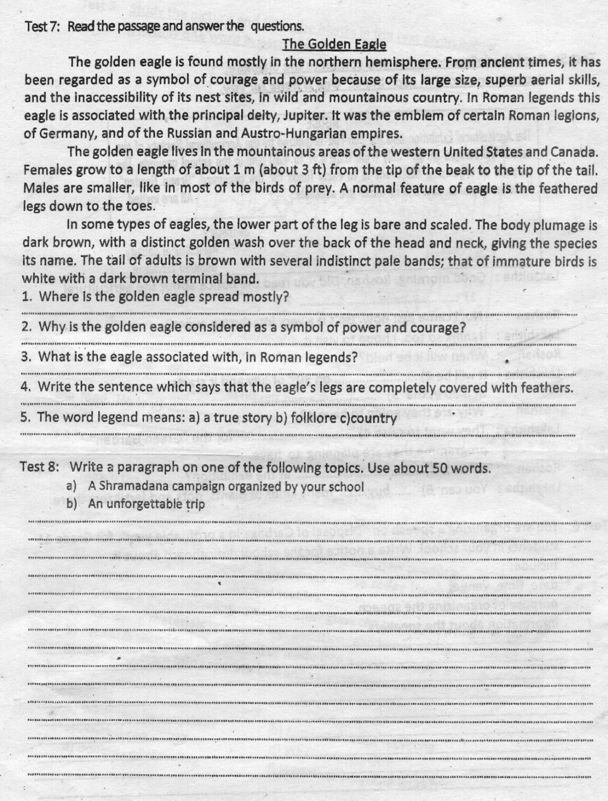 English model activities o l english term test papers and model
