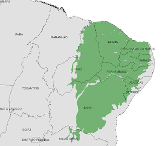 Mato & Cia: Biomas Brasileiros - Caatinga