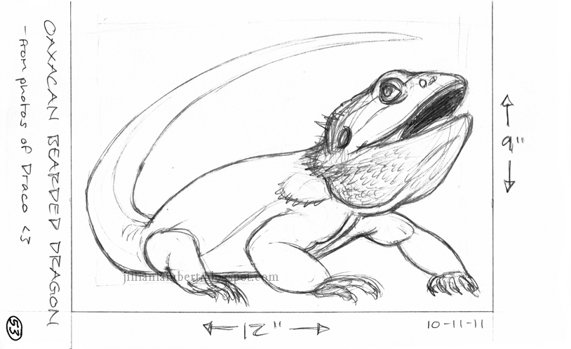 bearded-dragon-coloring-page.jpg