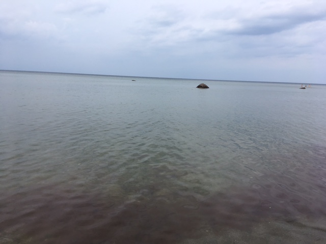 Dornroschens Geschichten Sommer Oder Mach Das Was Dich Glucklich Macht Ein Ruckblick