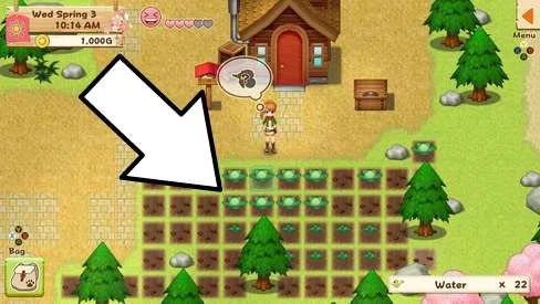 Fast Money Harvest Moon: Light of Hope from Cheats