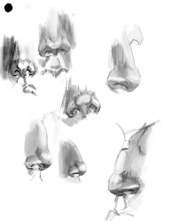 nose noses paint pencil studies painted