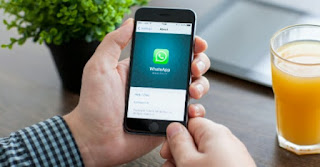 how to check fake whatsapp messages WhatsApp fake news