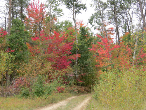 Midland to Mackinac Trail