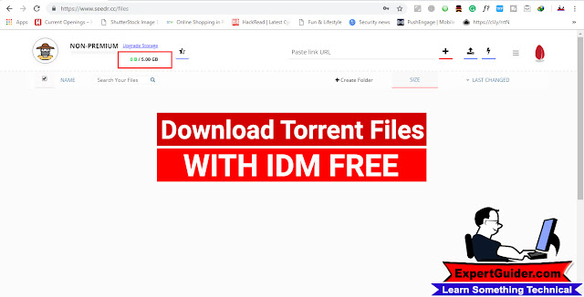 free torrent download movies