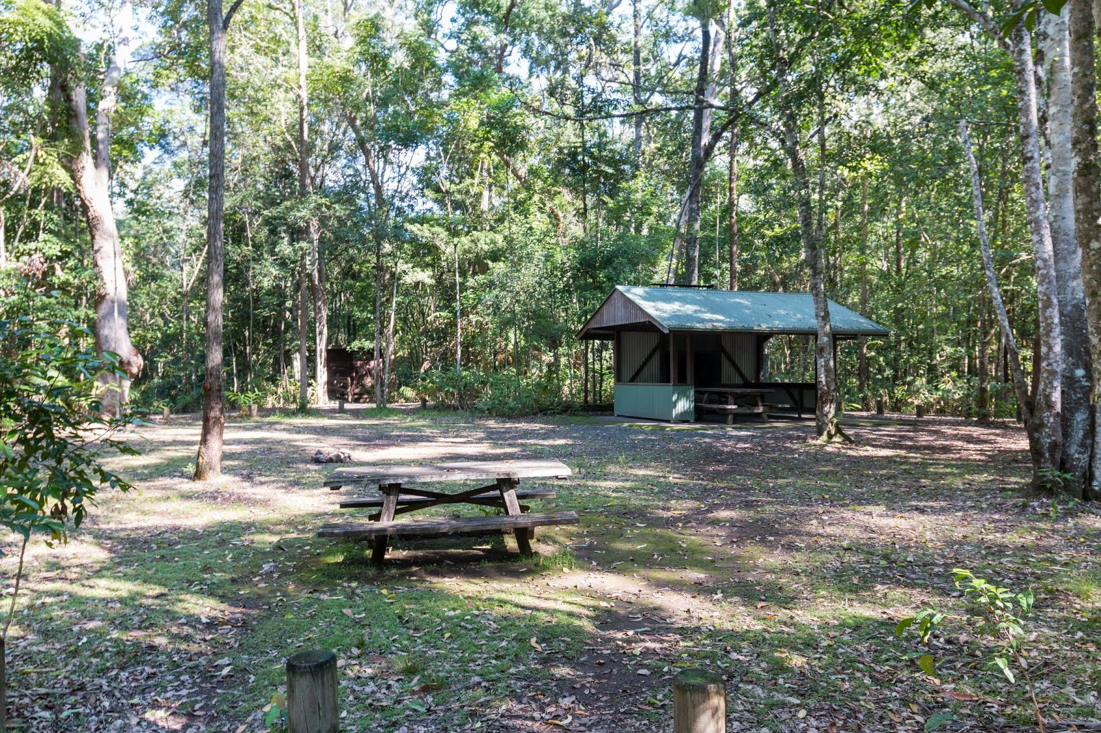 National Park Odyssey Iron Pot Creek Campground and Toonumbar Forest