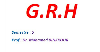 Cours GRH PDF - Dr BINKKOUR