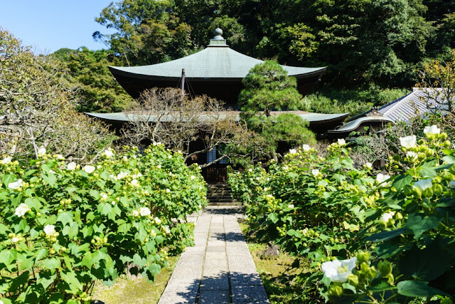 瑞泉寺～鎌倉