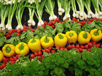 Organic farming Organic farming - vegetables