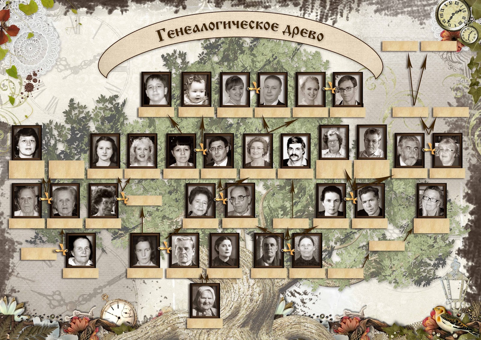 Дизайн фотокниг: Генеалогическое древо.