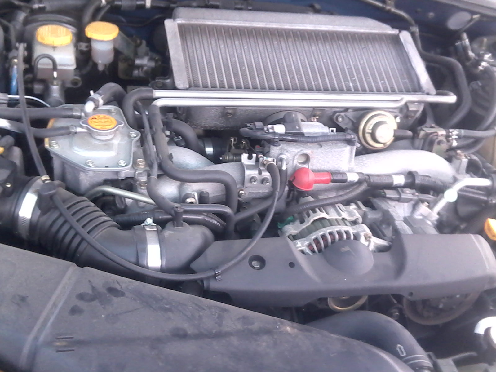 AUTO IQUIQUE =VENTA DE VEHÍCULOS ZONA FRANCA IQUIQUE, LEY 20.422