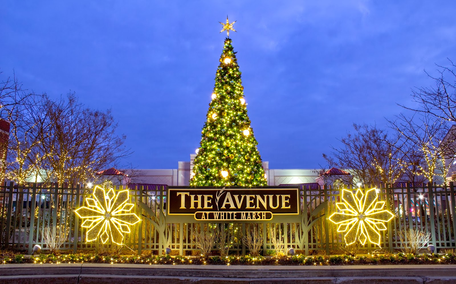 Downtown Decorations, Inc. The Avenue at White Marsh (2013)