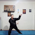 Snake Fist Kung-Fu in Greece  Το στυλ της Γροθιάς του Φιδιού στην Ελλάδα