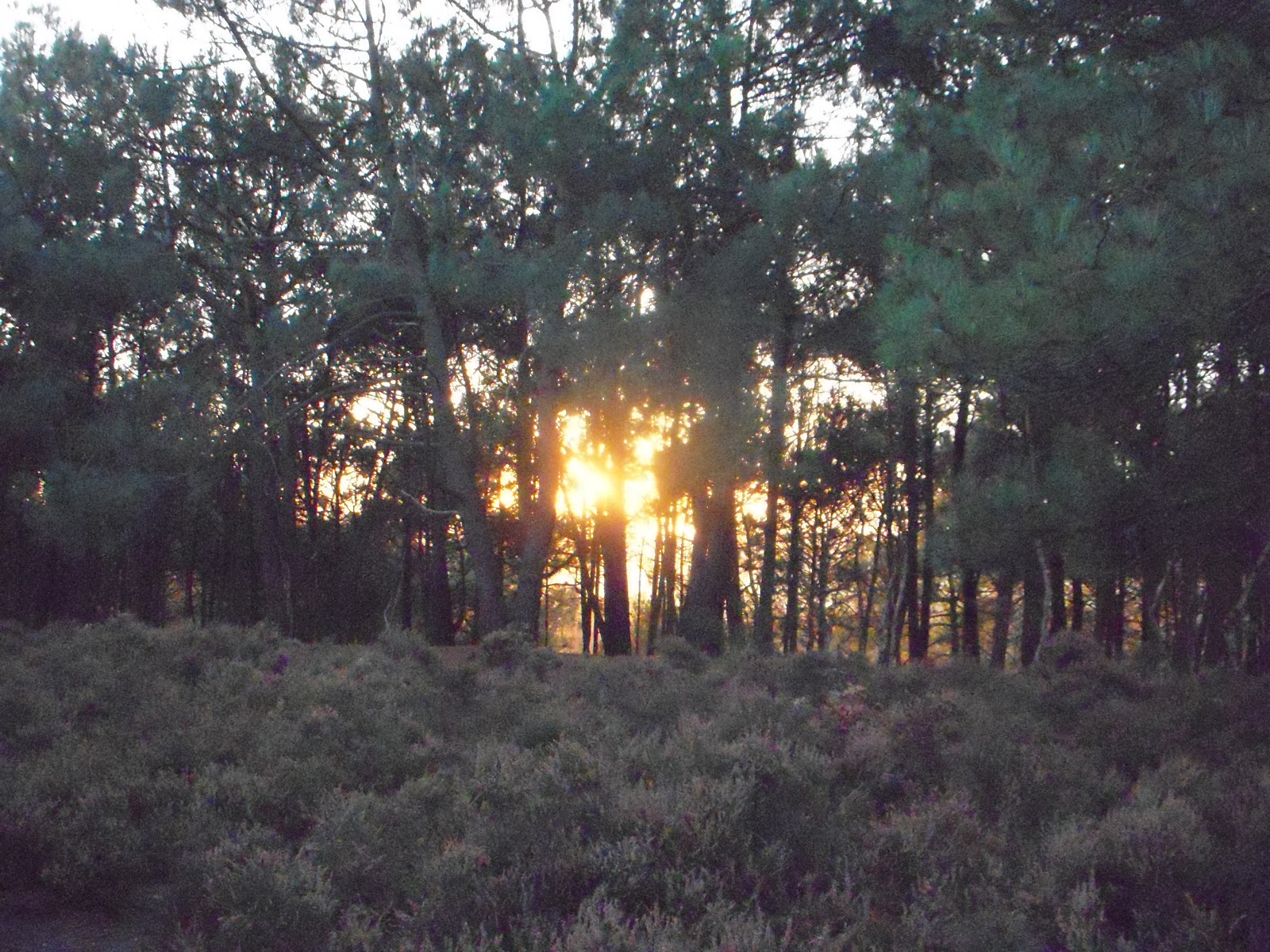 What is a ley line St Catherine's Hill Christchurch Dorset
