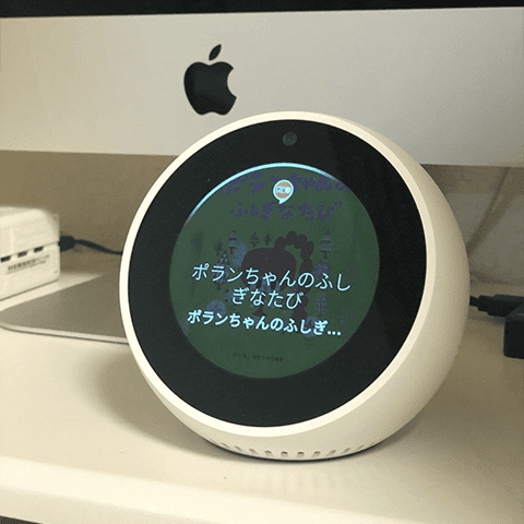 facetime on echo spot