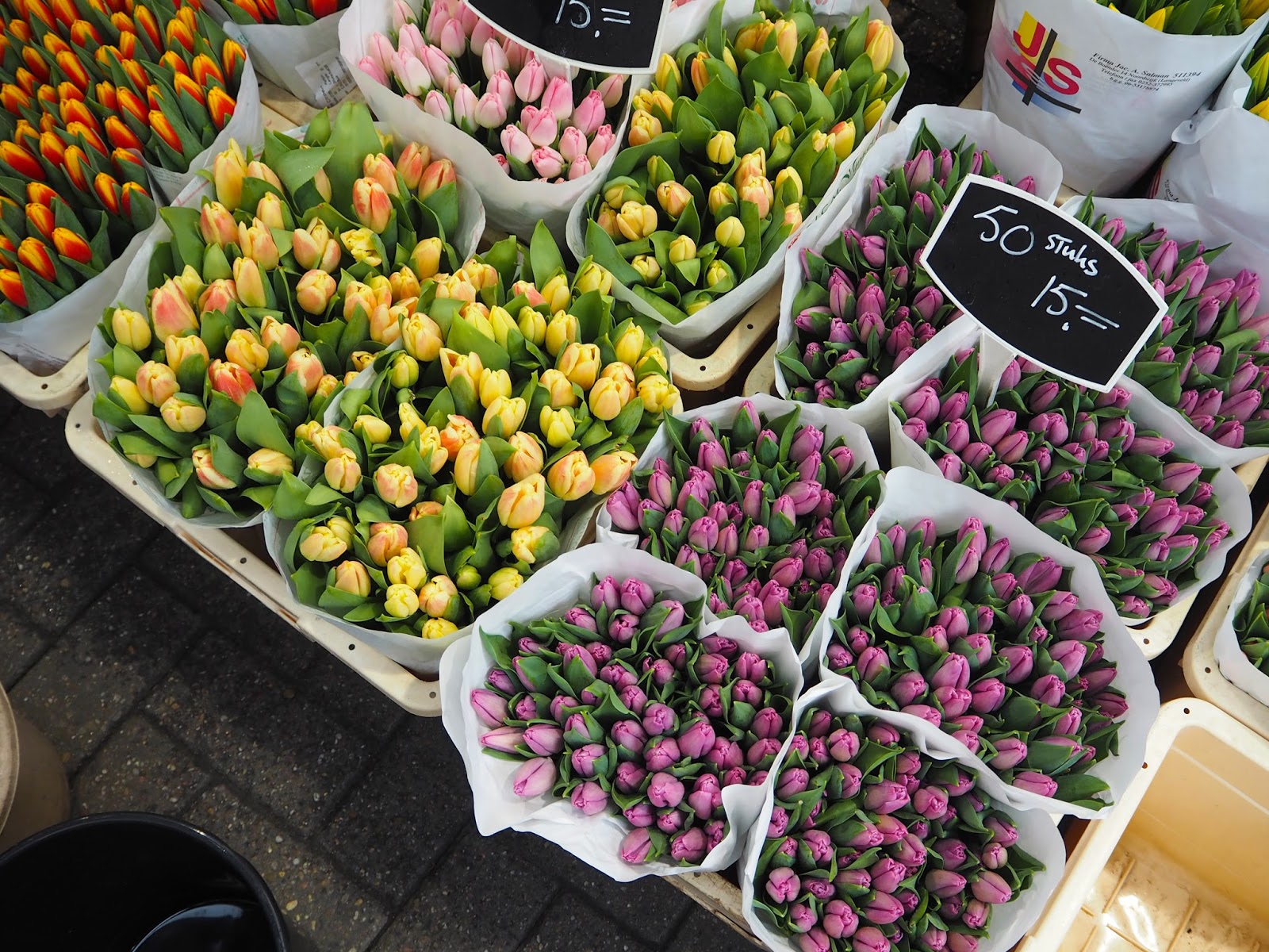 Amsterdam in 32 Hours - Rachel Nicole Blog