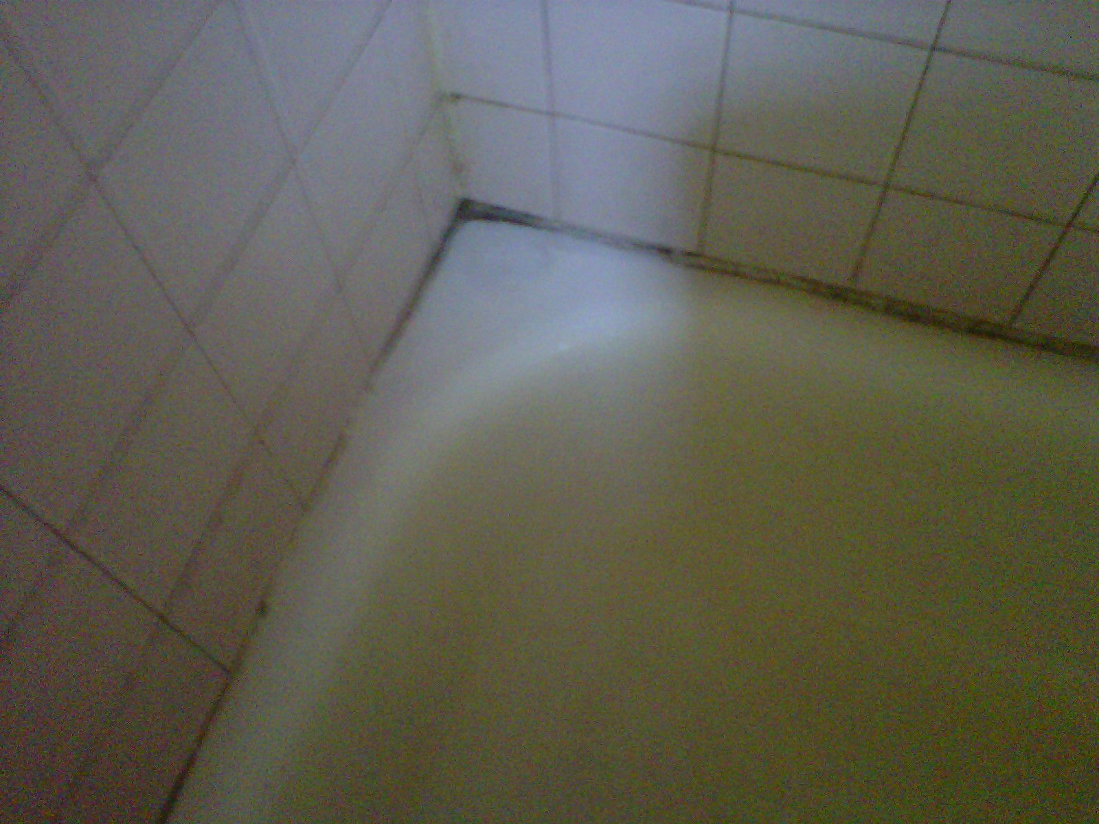 Winter Park Handyman Bathtub Reglazing in Orlando