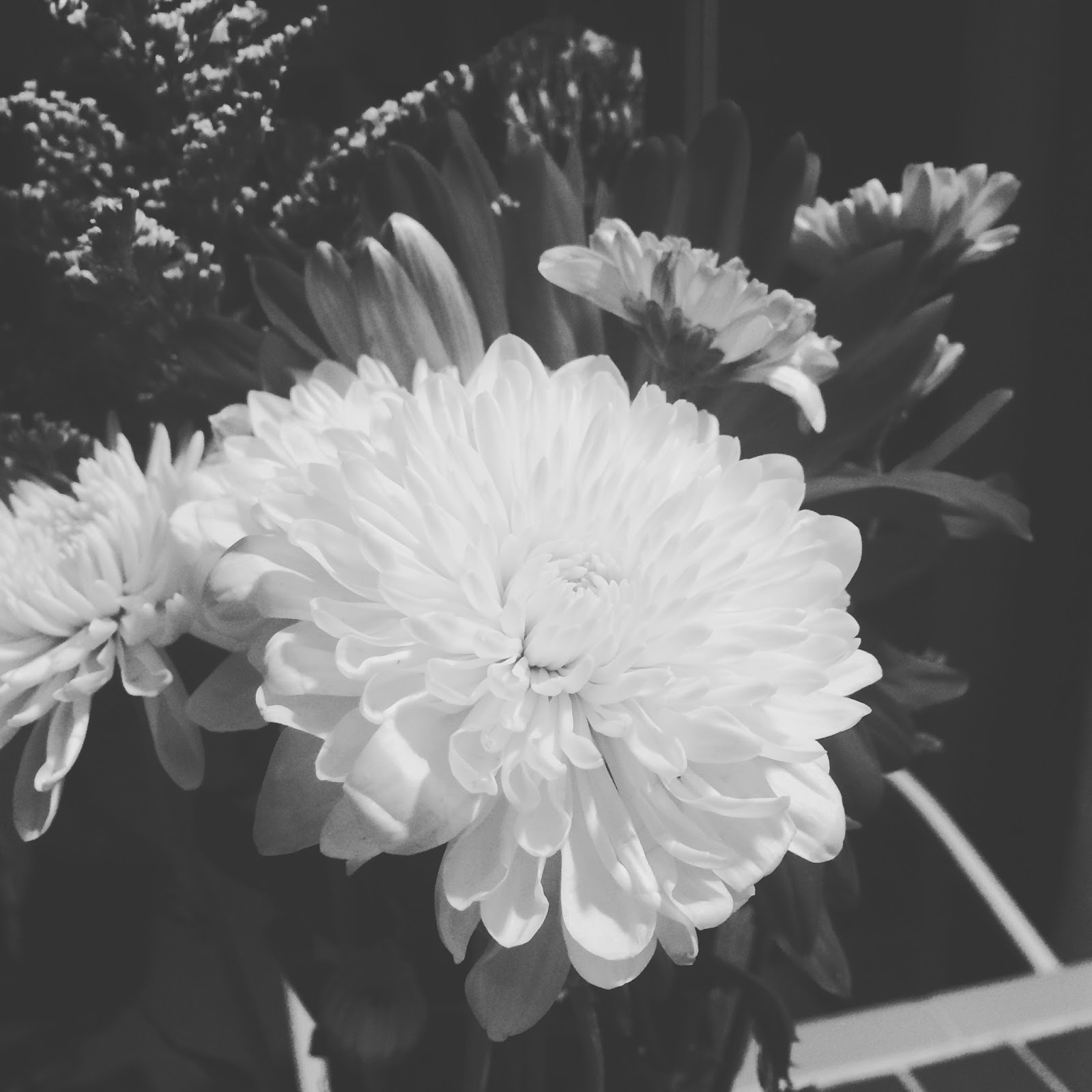 blóm, hlátur og húfur