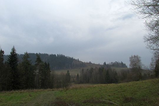 Widok na Grzebień (677 m n.p.m.) ze stoku Królewskiej Góry. Widok na Grzebień (677 m n.p.m.) ze stoku Królewskiej Góry.