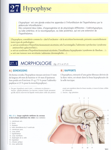 TÉLÉCHARGER MEMOTECH ELECTROTECHNIQUE GRATUIT.PDF