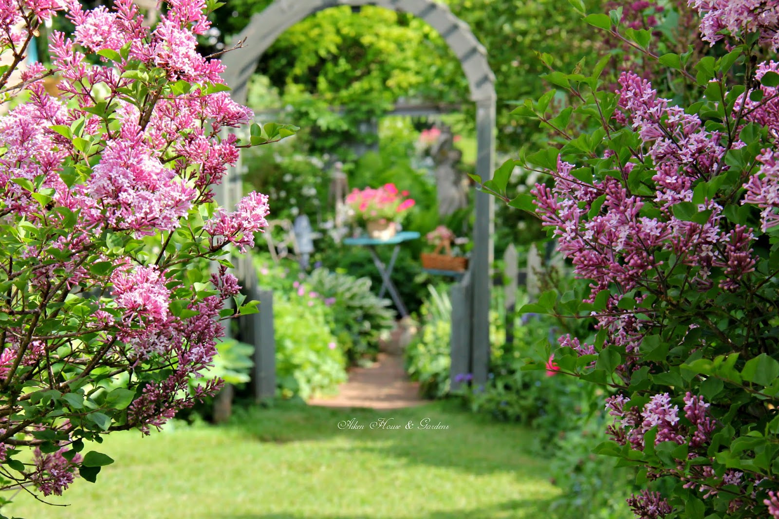 Aiken House & Gardens Lilac Favs