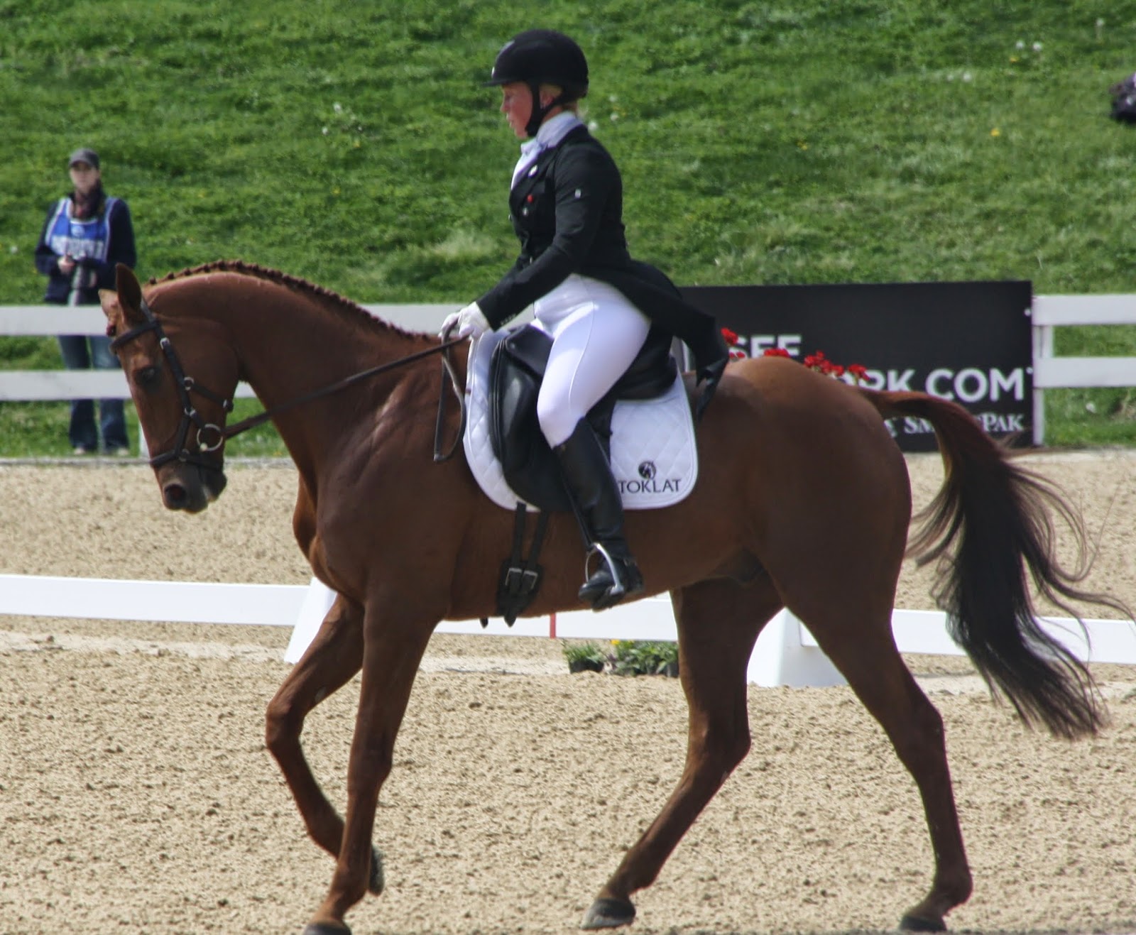 33 Dressage Stock Tie Sewing Pattern husnuldirham