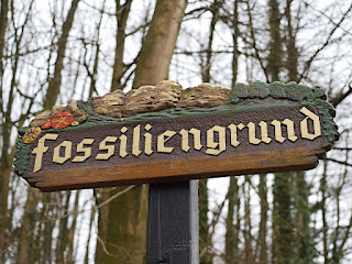 Der Fossiliengrund Der Fossiliengrund