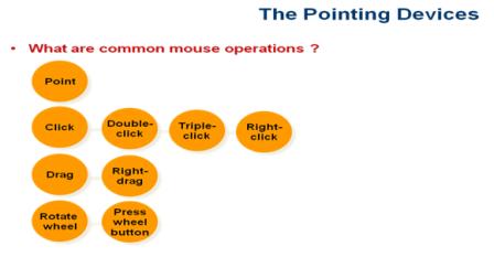 computer Education: Input Device of Computer