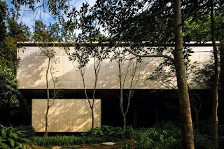 Modern Home Living and Lush Trees Perfect for Each Other in Jungle Home Modern Home Living and Lush Trees Perfect for Each Other in Jungle Home
