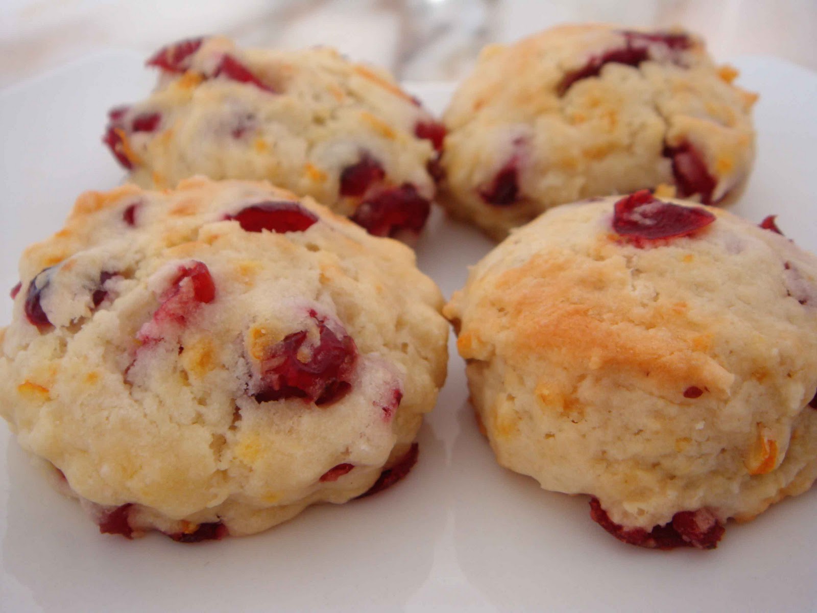Baking Library Orange Cranberry Scones and Awards