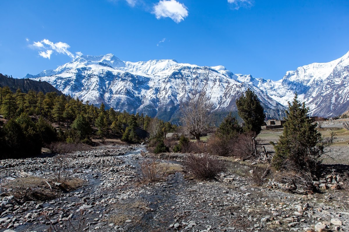 200км по красно-белым черточкам.. Around Annapurna. март-апрель 2017